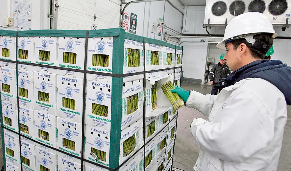 Agrotrabajo. La remuneración mensual no será menor que el sueldo mínimo vital. Foto: difusión