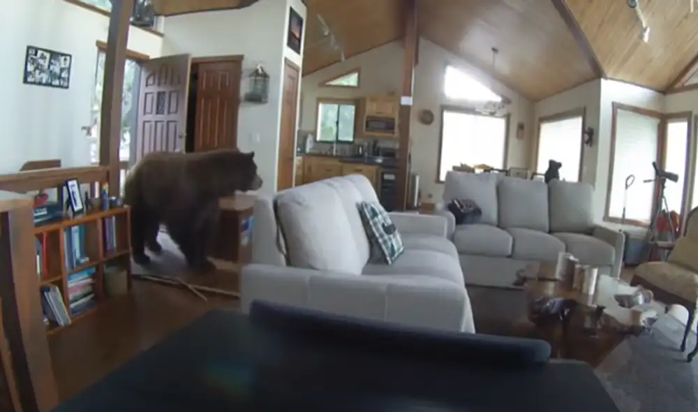 El video viral ha sido compartido en el canal RM Videos. Foto: captura de YouTube