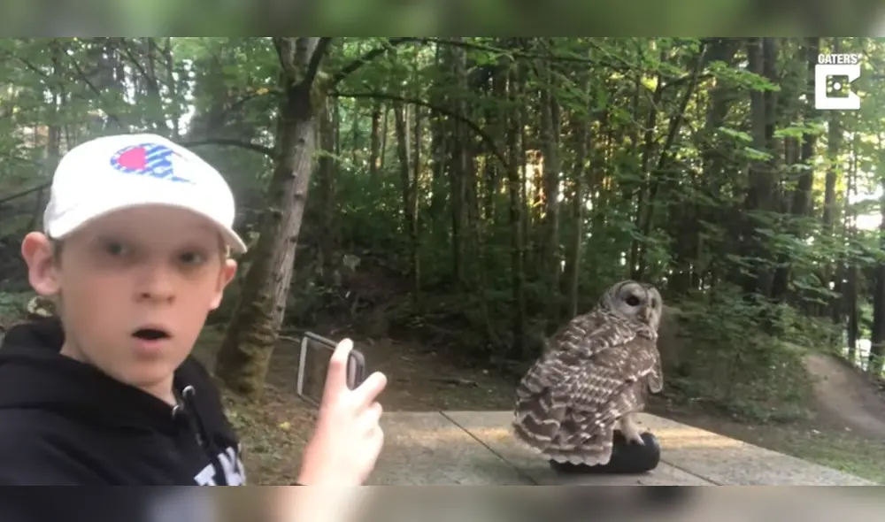 El niño se mostró sorprendido por la inusual situación. Foto: captura de YouTube