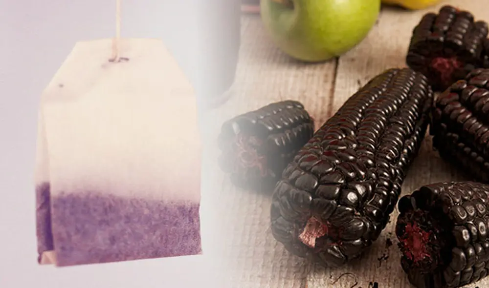 INIA 601. Estudios revelan que el maíz tiene un gran número de genes que regulan adecuadamente su nivel de antocianina. Foto: difusión