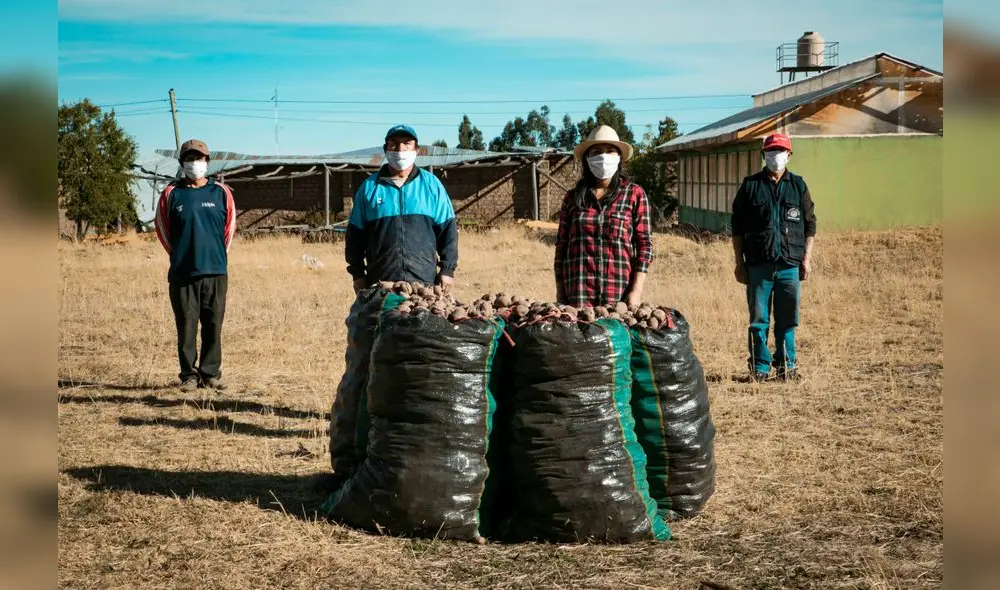 Se cofinanciaron 145 planes de negocio. Foto: Agroideas.
