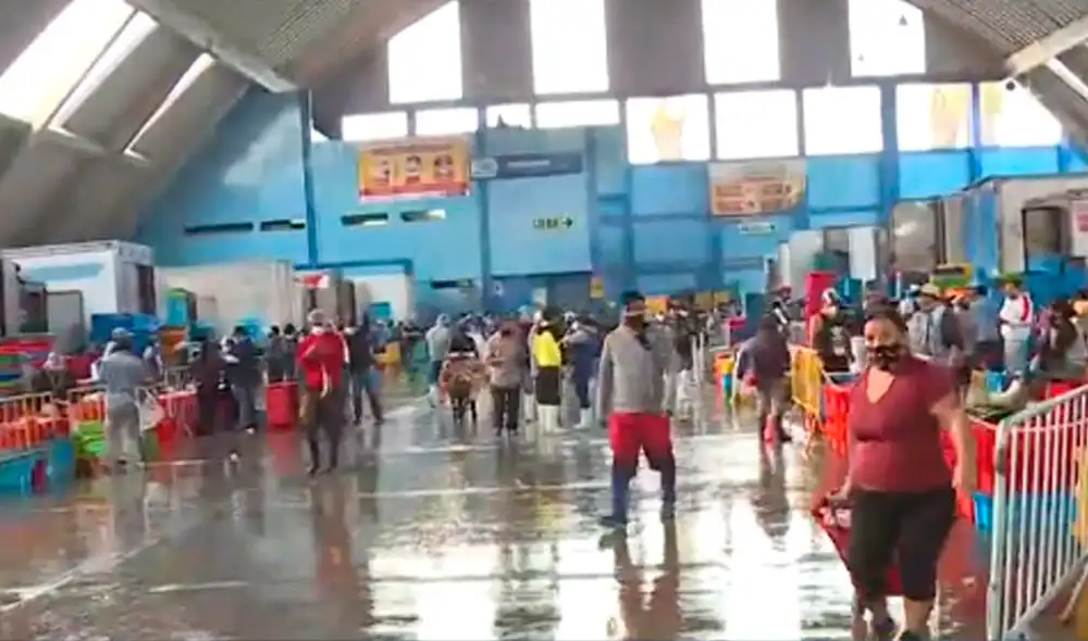 Precios del pescado han disminuido en este sábado 3 de abril. Foto: captura Canal N