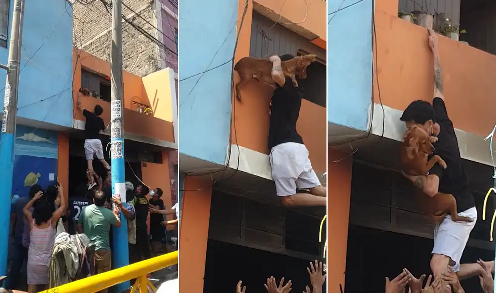 Vecinos ayudaron a joven en el rescate de perrita durante incendio. Foto: captura video