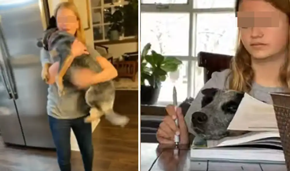 El video ha sido compartido en la página Rumble Viral. Foto: captura de Facebook. El video ha sido compartido en la página Rumble Viral. Foto: captura de Facebook.