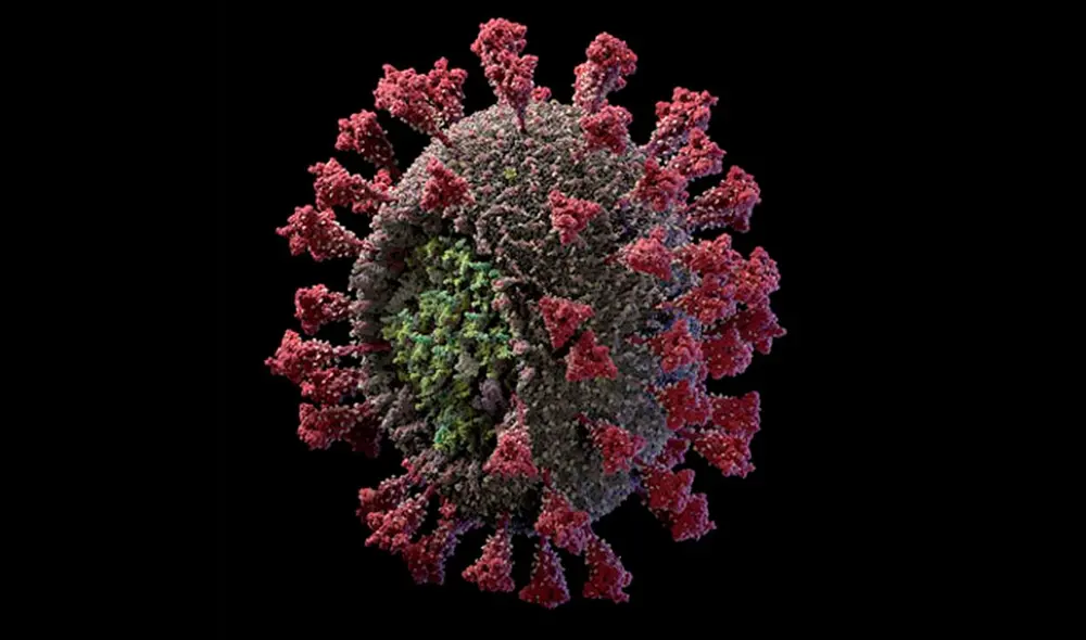Imagen 3D del coronavirus SARS-CoV-2. Crédito: Visual Science