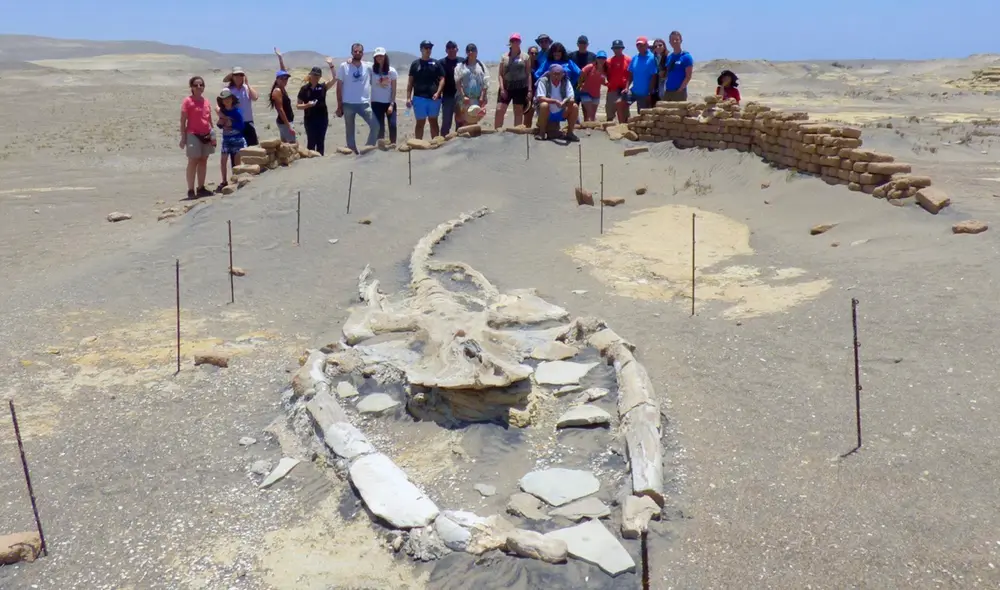 Yacimiento paleontológico en Caravelí es uno de los más importantes del Perú. Foto: Dimensiones Perú Viajes Yacimiento paleontológico en Caravelí es uno de los más importantes del Perú. Foto: Dimensiones Perú Viajes