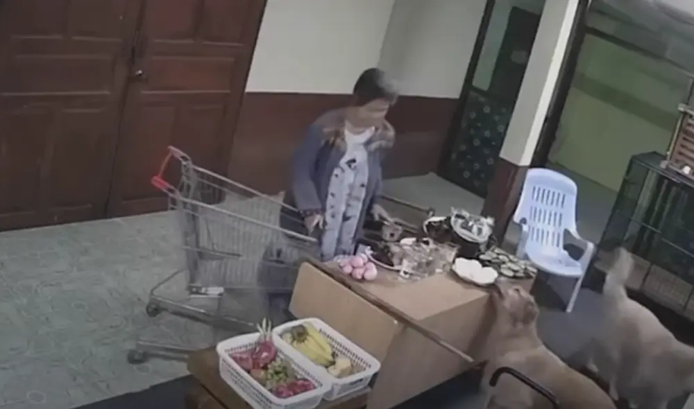 El video ha sido compartido en la página Viral Press. Foto: captura de Facebook