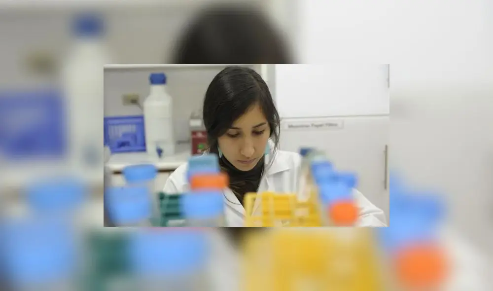 El monto de financiamiento por becaria asciende a S/40.000. Foto: Concytec