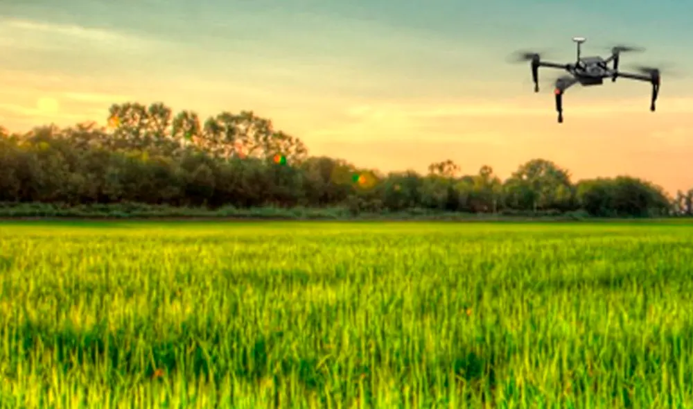 Lambayeque impulsa la producción agrícola gracias a tecnología de punta en un proyecto desarrollado por la UNALM. Foto: Andina Lambayeque impulsa la producción agrícola gracias a tecnología de punta en un proyecto desarrollado por la UNALM. Foto: Andina