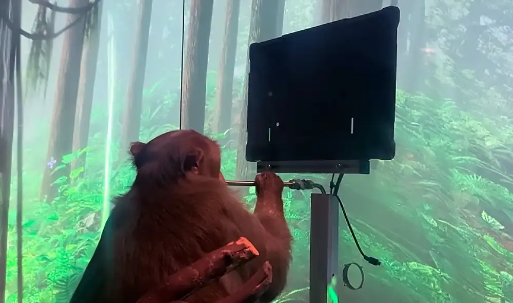 Neuralink busca crear interfaces cerebro-computadora que permitirá, por ejemplo, a alguien con parálisis controlar su smartphone con la mente. Foto: captura de YouTube