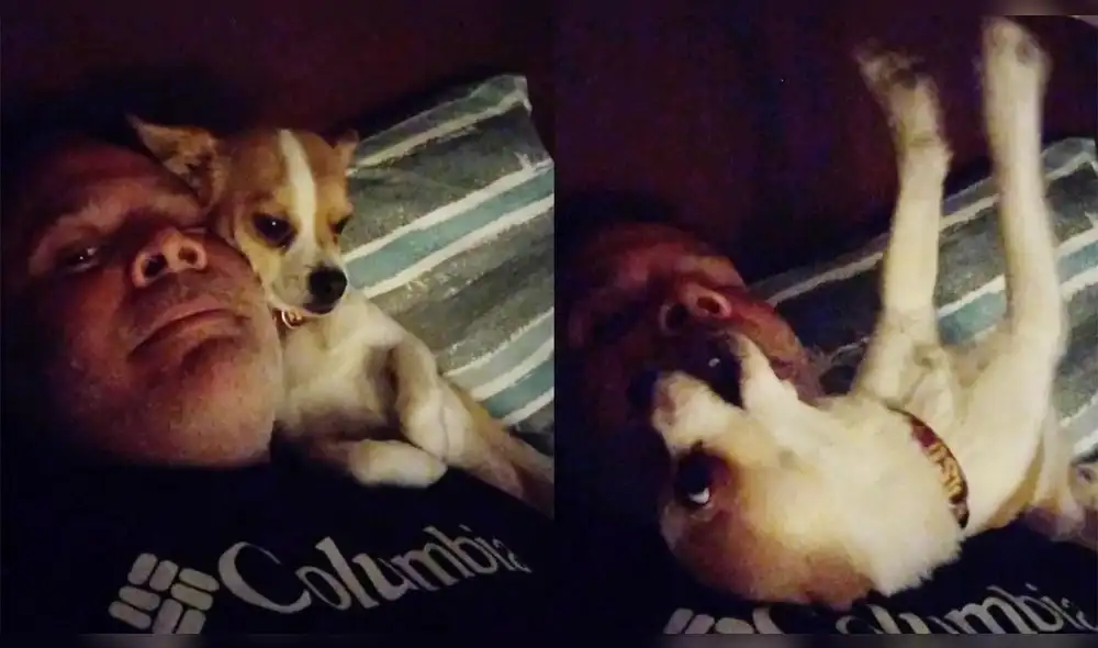 Miles de usuarios no dudaron en resaltar el ímpetu del animal por pasear junto a su amo. Foto: captura de YouTube