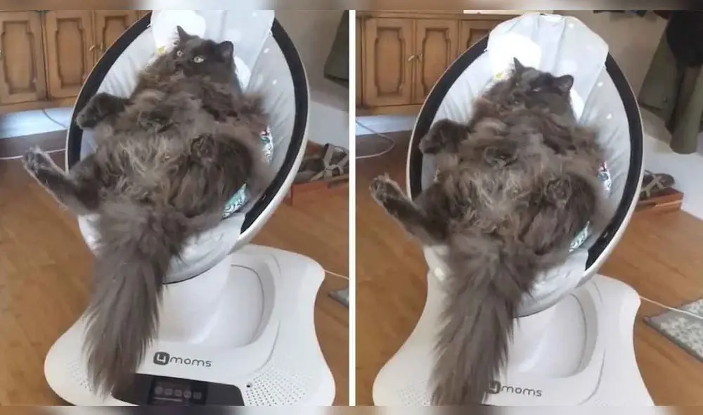 El video es tendencia en YouTube y demás redes sociales. Foto: captura de YouTube