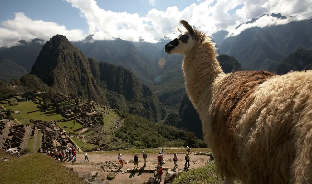 En la última fase del programa se premiará a las mejores iniciativas e ideas de negocio. Foto: Andina En la última fase del programa se premiará a las mejores iniciativas e ideas de negocio. Foto: Andina