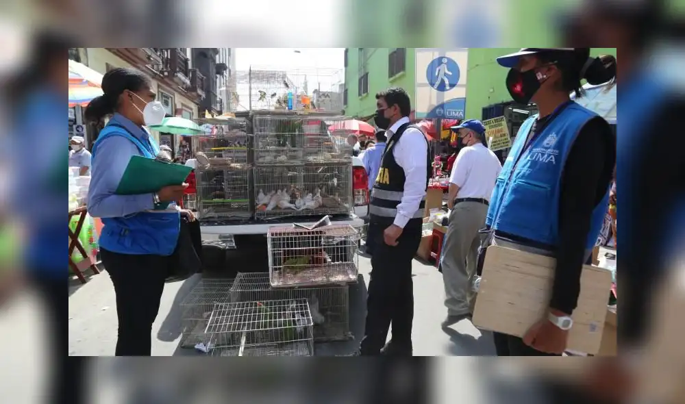Los animales se encontraban en un inmueble en Mesa Redonda, en Cercado de Lima. Foto: Municipalidad de Lima