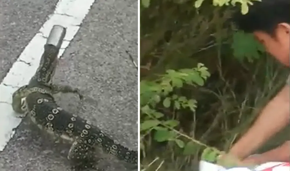 El video ha sido compartido en la página Viral Press. Foto: captura de Facebook