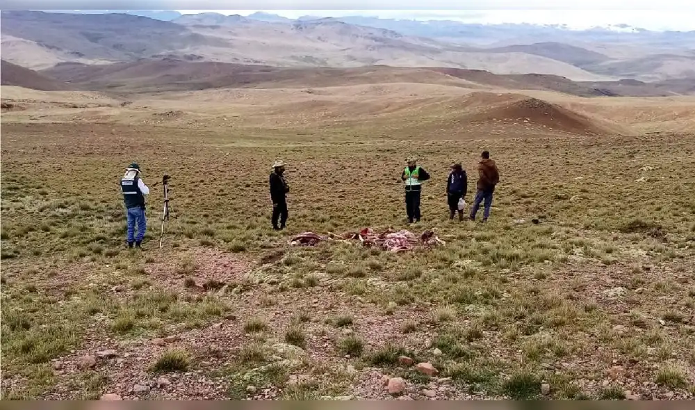 Serfor y miembros de la Policía constataron el hecho. Foto: Serfor Serfor y miembros de la Policía constataron el hecho. Foto: Serfor