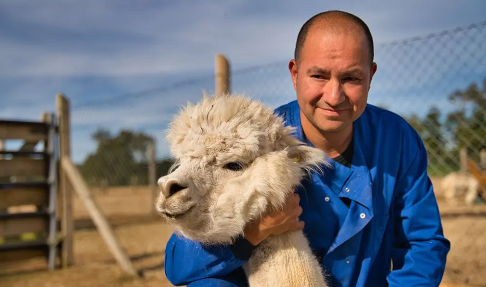 Los investigadores llevan estudiando el anticuerpo desde 2020. Foto: Facultad de Medicina de la UACh