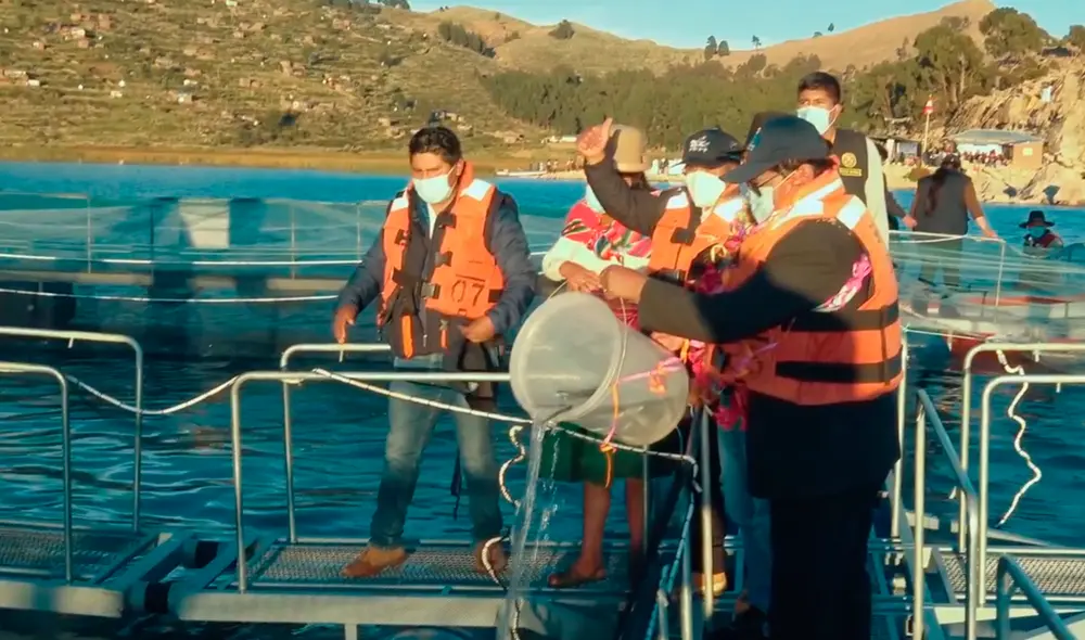 La moderna infraestructura fue instalada por el Proyecto Especial Truchas Titicaca (PETT). Foto: GRP