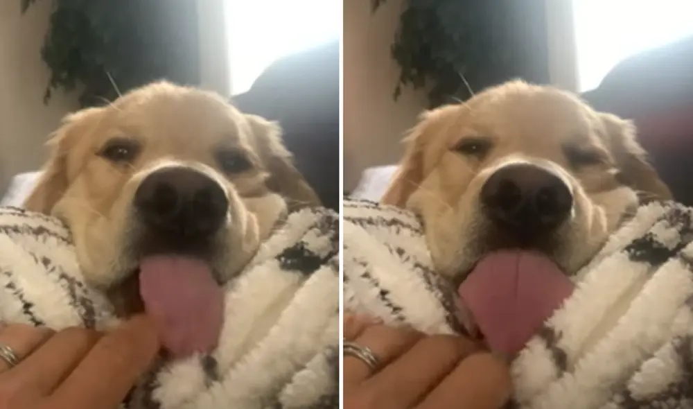 El video viral causó gran sensación en las redes sociales. Foto: captura de Facebook.