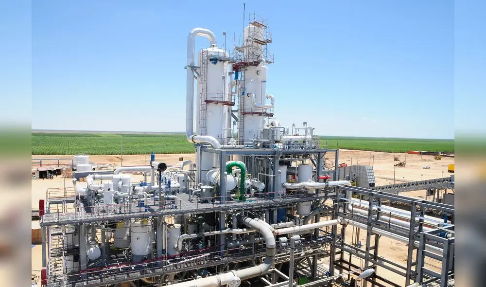 Plantas de procesamiento están en Piura. Foto: Juan Nunura