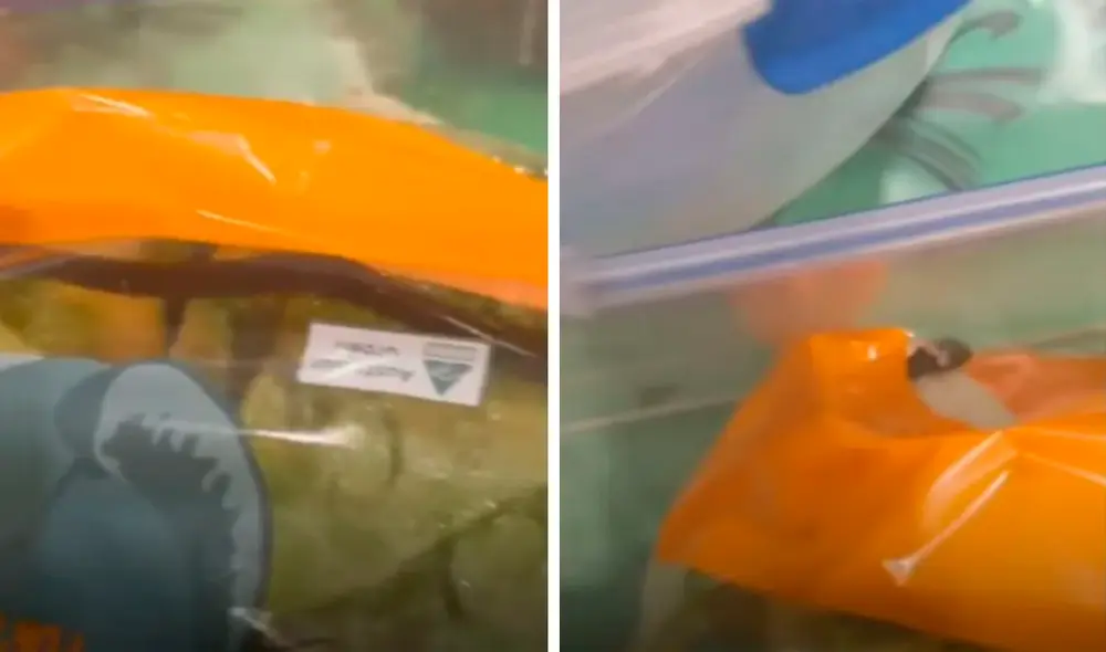 La mujer no pensó encontrar una serpiente viva dentro del envase de vegetales. Foto: captura de YouTube