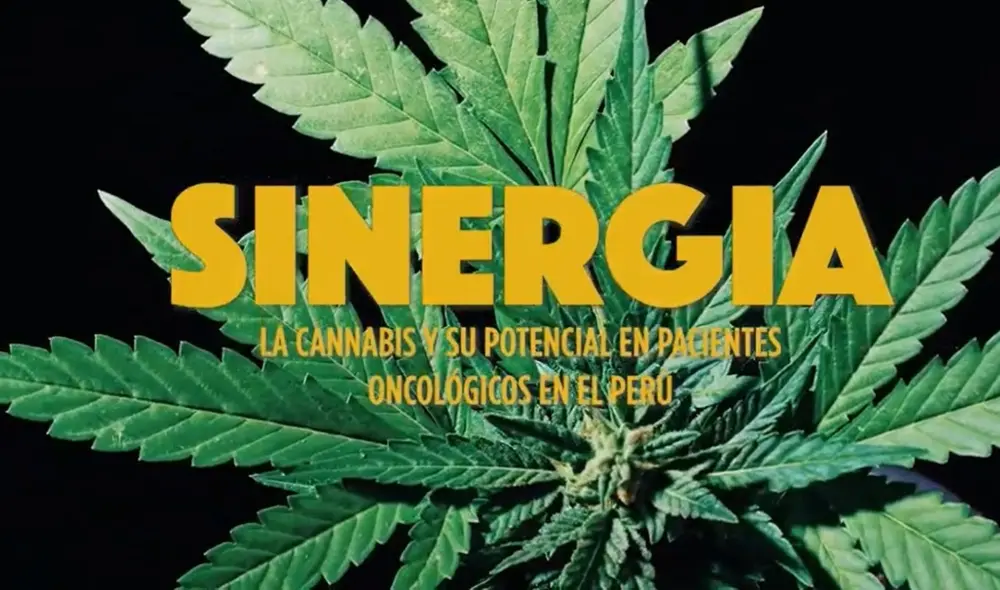 El documental se estrena en el marco del Día Mundial de la Marihuana, el cual se celebra cada 20 de abril. Foto: difusión El documental se estrena en el marco del Día Mundial de la Marihuana, el cual se celebra cada 20 de abril. Foto: difusión