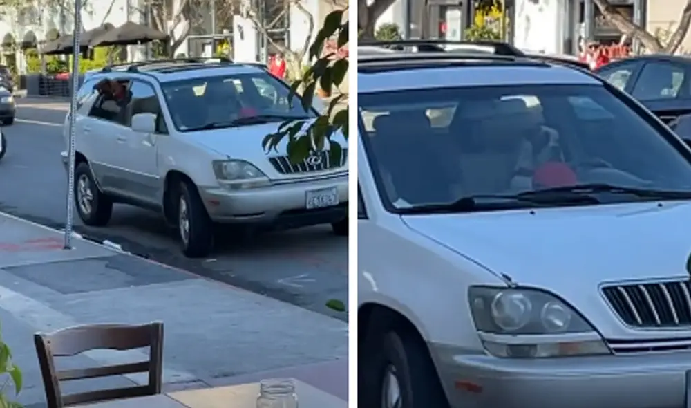 El video viral ha causado gran sensación en las redes sociales. Foto: captura de TikTok