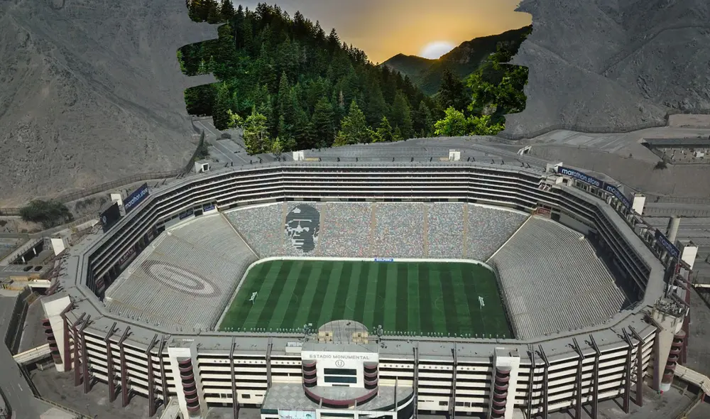 Posible vista del Estadio Monumental después de la arborización. Foto: captura Go Green Perú/Twitter