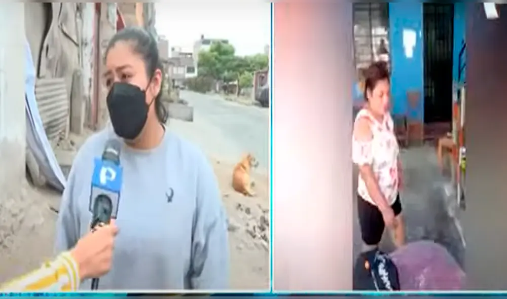 Vecinos piden apoyo a animalistas. Foto: captura / Panamericana