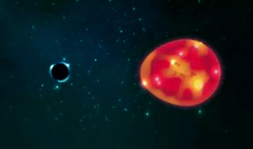 El agujero negro de masa pequeña ha sido catalogado como 'Unicornio' por su rareza. En esta ilustración, se encuentra atrayendo a una gigante roja. Foto: Política, Investigación y Tecnología / Lauren Fanfer