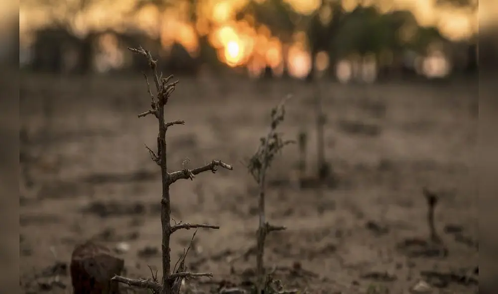 La campaña Lo que haces cuenta forma parte del continuo compromiso de The Walt Disney Company Latin America con el cuidado del medio ambiente. Foto: PMA/Matteo Cosorich/referencial La campaña Lo que haces cuenta forma parte del continuo compromiso de The Walt Disney Company Latin America con el cuidado del medio ambiente. Foto: PMA/Matteo Cosorich/referencial