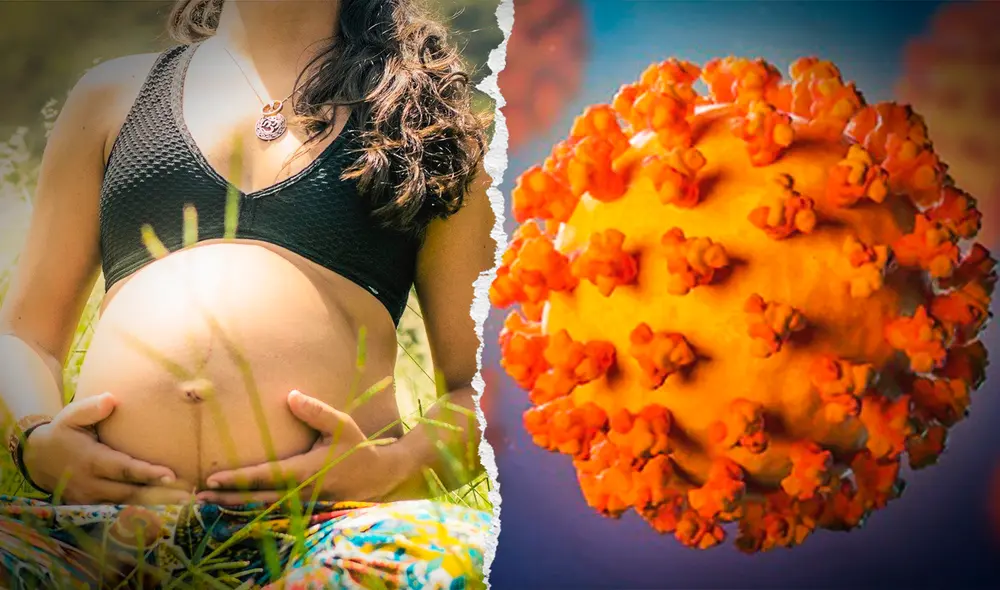 El estudio de UW Medicine y la Universidad de Oxford se calificó de 'único' porque comparó a mujeres embarazadas infectadas de COVID-19 con las no contagiadas. Foto: composición LR / Mayo Clinic / difusión