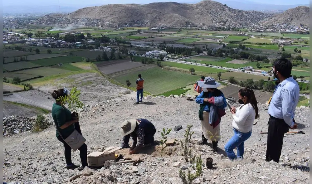 Lugar será destinado como futuro parque zonal. Foto: Municipalidad de Sachaca