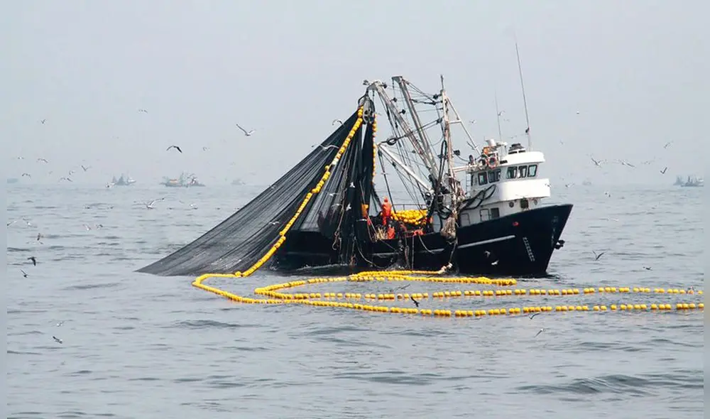Taller online busca hacer más competitivos a los empresarios y emprendedores del rubro pesquero. Foto: Archivo La República Taller online busca hacer más competitivos a los empresarios y emprendedores del rubro pesquero. Foto: Archivo La República
