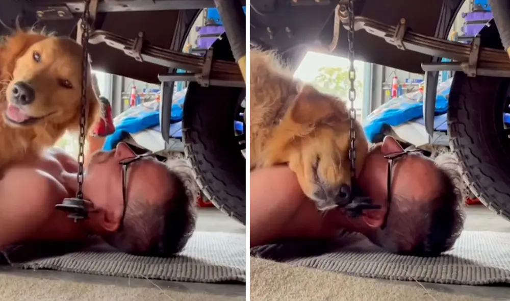 Un perro quería llamar la atención de su amo y no tuvo mejor idea que acostarse encima de él cuando estaba haciendo sus labores. Foto: captura de Facebook Un perro quería llamar la atención de su amo y no tuvo mejor idea que acostarse encima de él cuando estaba haciendo sus labores. Foto: captura de Facebook