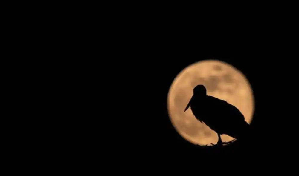 Superluna será el mayor evento astronómico de Abril. Foto: EFE