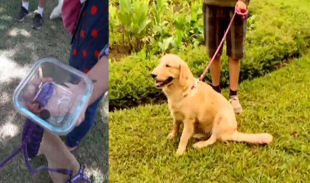 Municipalidad de San Borja intervendrá con un mayor patrullaje en la zona. Foto: captura de Latina