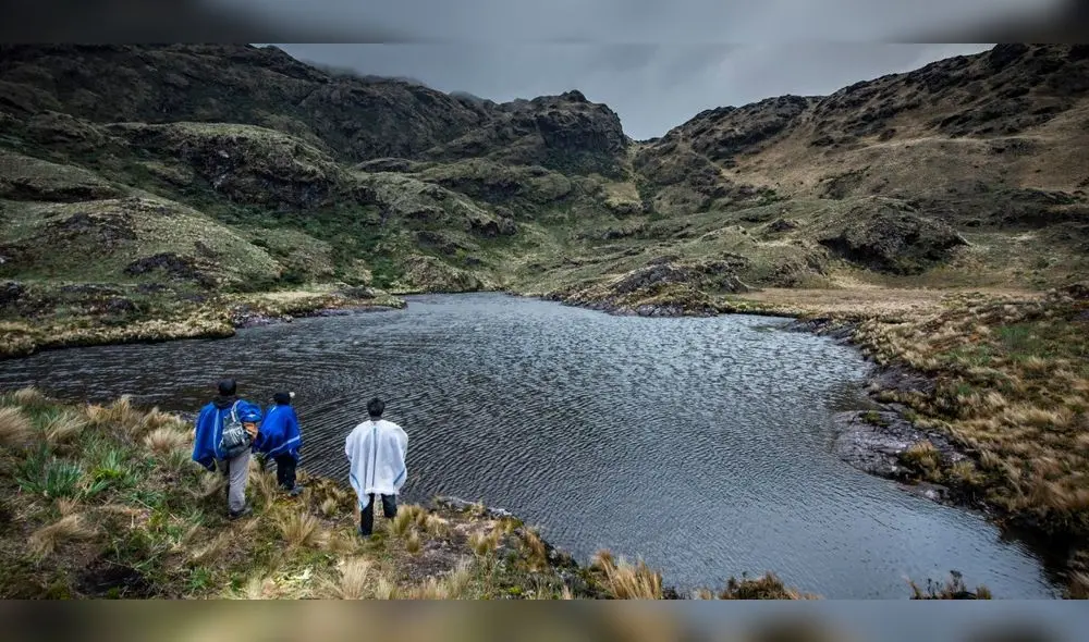 Buscan preservar los ecosistemas altoandinos. Foto: difusión