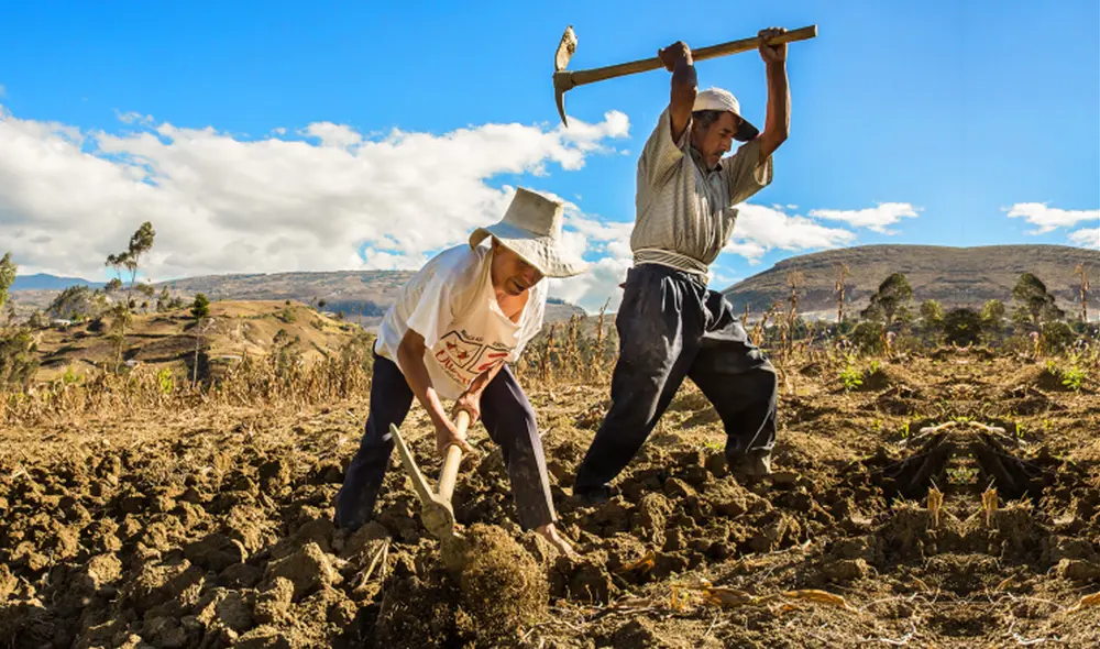 Los créditos son hasta de S/30 000. Foto: difusión