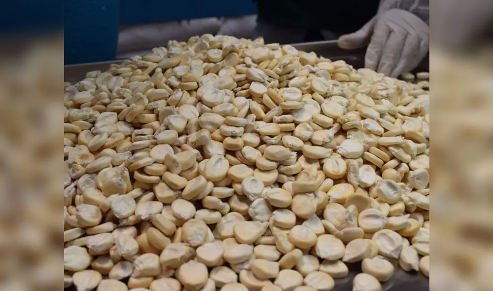 Productores cusqueños en Calca y Urubamba obtuvieron apoyo de Senasa. Foto: difusión