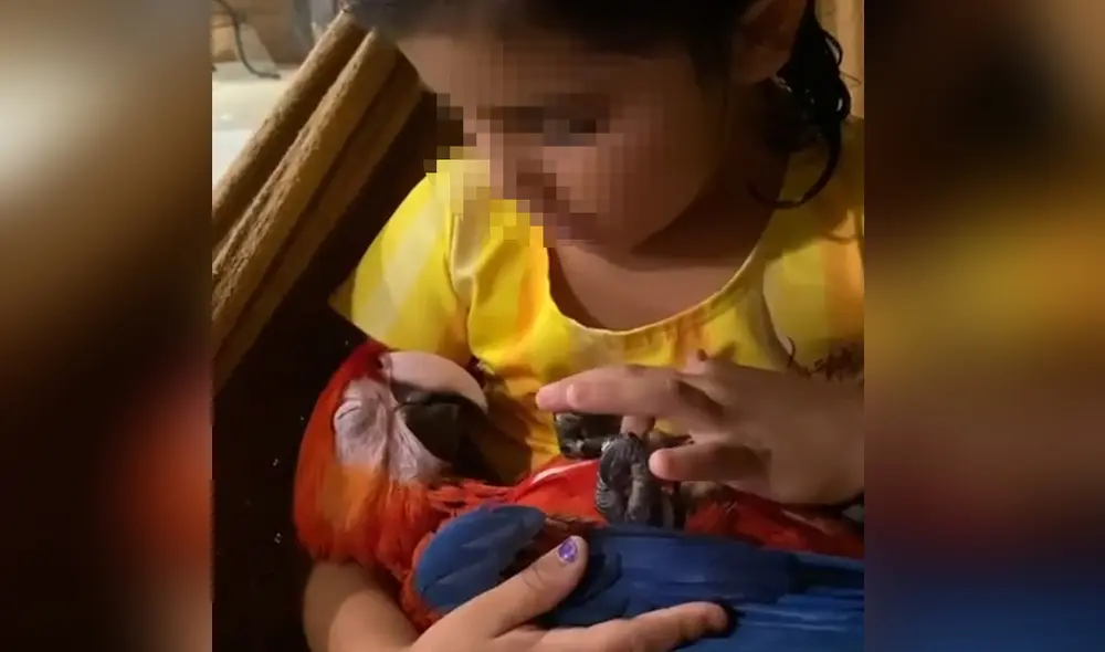 El conmovedor episodio entre la niña y su mascota conmovió a los usuarios. Foto: captura de YouTube