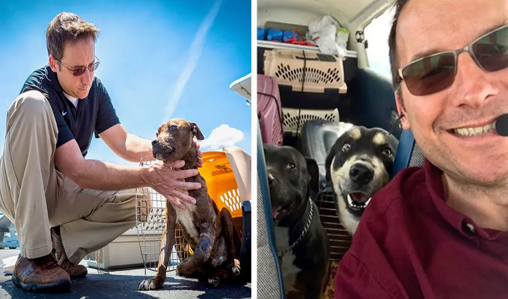 Un hombre trasladó a cientos de animales a otros albergues, con el propósito de evitar que sean sacrificados. Foto: Flying Fur Animal Rescue/ Facebook