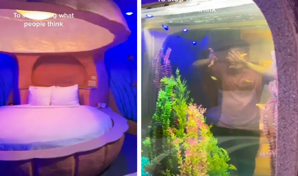Tras la publicación el hotel Best Western se ha convertido en tendencia por su inusual decoración que te traslada al fondo del mar. Foto: captura de TikTok Tras la publicación el hotel Best Western se ha convertido en tendencia por su inusual decoración que te traslada al fondo del mar. Foto: captura de TikTok
