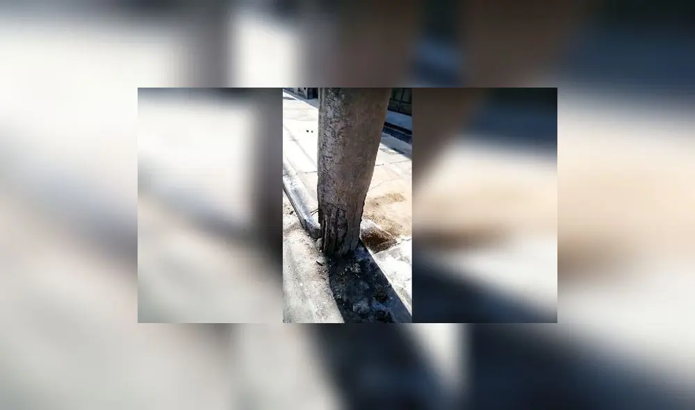 El poste ubicado en el pasaje San Roberto. Foto: captura de pantalla RPP Noticias El poste ubicado en el pasaje San Roberto. Foto: captura de pantalla RPP Noticias