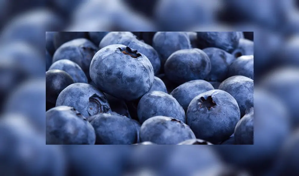 IBO Summit 2021: la cumbre se llevará a cabo en una plataforma 100% digital. Foto: difusión