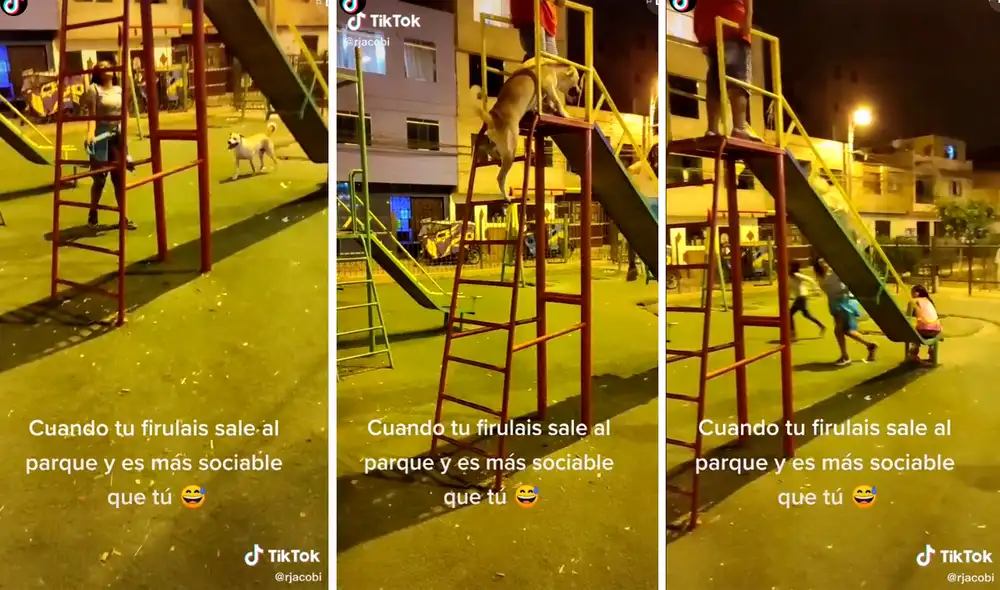 La mascota trepa escalón por escalón hasta llegar a la cima y luego se desliza junto a los demás niños. Foto: captura de TikTok