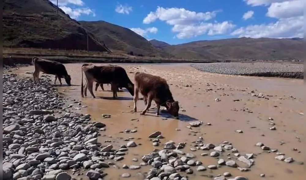 Se presume que contaminación proviene de relaves de la minería ilegal. Foto: Radio Altura