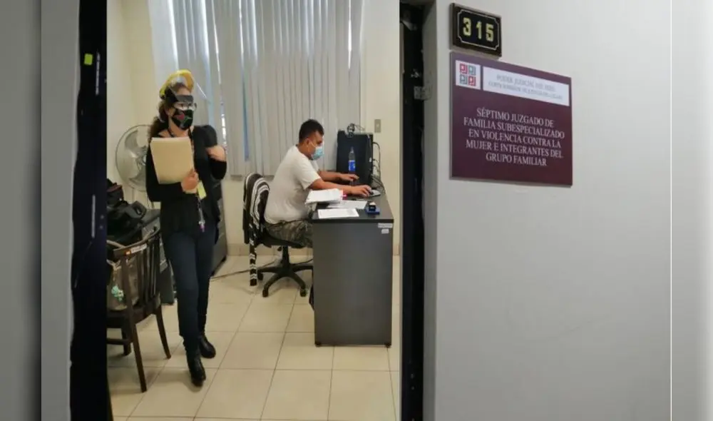 El tribunal estará conformado por el Primer, Segundo y Tercer Juzgados Penales Unipersonales Especializados en Violencia contra la Mujer e Integrantes del Grupo Familiar. Foto: Andina