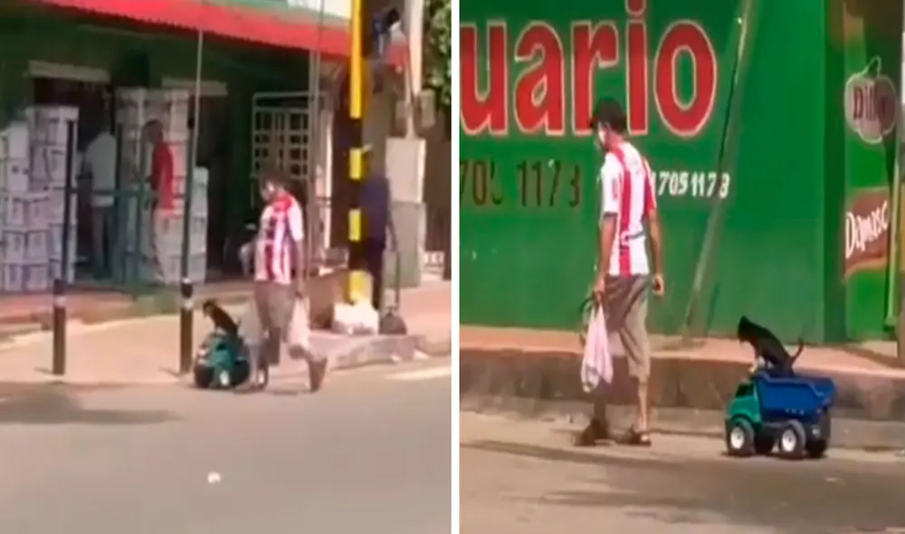 Un hombre llamó la atención de sus vecinos al llevar a su querida mascota hasta un mercado montado en un vehículo de juguete. Foto: captura de TikTok