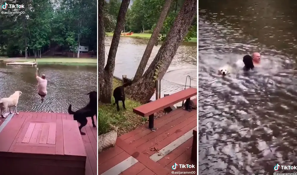 El perro comenzó a correr desesperadamente hasta saltar al agua para salvar a su dueño. Foto: captura de TikTok